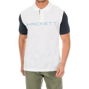 Hackett  HMX1008B-WHITE  Rövid ujjú galléros pólók Sokszínű