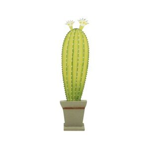 Signes Grimalt  Kaktusz  Műnövények Zöld