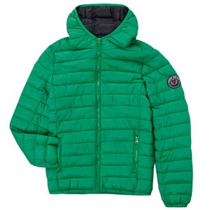 Teddy Smith  BLIGHTER  Steppelt kabátok  Zöld