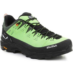 Salewa  Alp Trainer 2 Gore-Tex® Men's Shoe 61400-5660  Túracipők Zöld