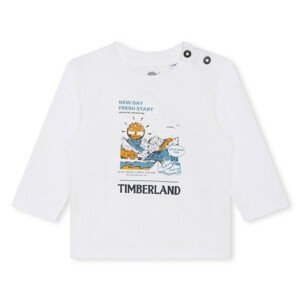 Timberland  T60005-10P-C  Rövid ujjú pólók Fehér