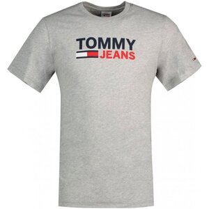Tommy Jeans  DM0DM15379  Rövid ujjú pólók Szürke
