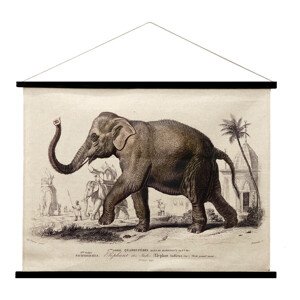 Signes Grimalt  Elefánt Gurítható Vászon  Képek, vásznak Keki